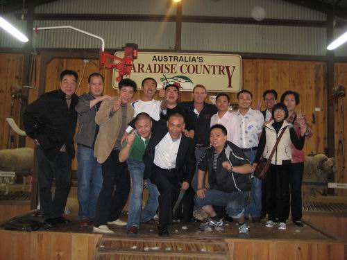20081015083056225