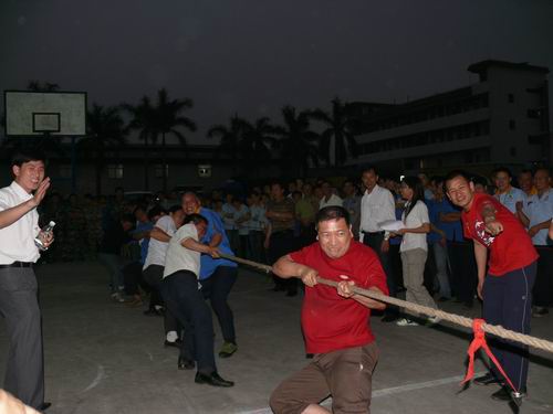 20090506154338811