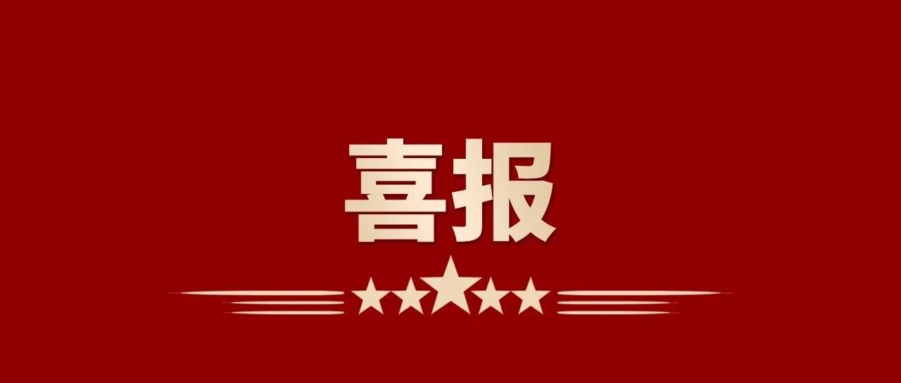 2025广东铝加工大会，NG28集团荣获6大主题荣誉！